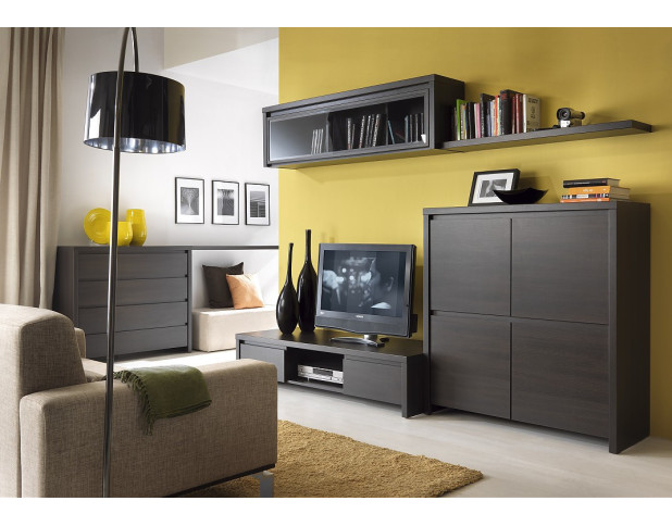 Тумба под телевизор КАСПИАН RTV2S/14 Венге